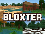Gra Bloxter