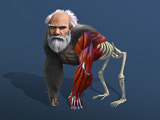 Gra Idle Evolution: Od Komórki do Człowieka