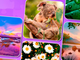 Gra Mistrzowie Puzzli: Podróżnicy