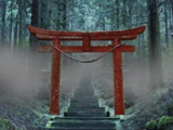 Gra NOC w Lesie Aokigahara