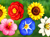 Gra Fusion of Flowers: Łącz i Kupuj