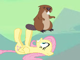 Gra Fluttershy Łapie Bobry