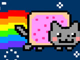 Gra Kot Rainbow
